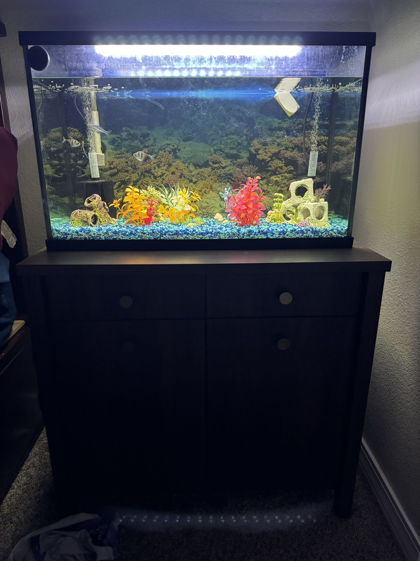 Aquarium And Stand