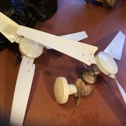 Two Ceiling Fans