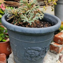 Vintage Large Decrotivec Urn Style  Planter with Plant