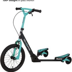 Razor Ziggler Scooter 