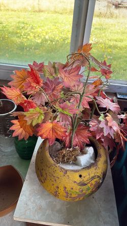 Artificial Maple Leaf Plant in Decorative Pot