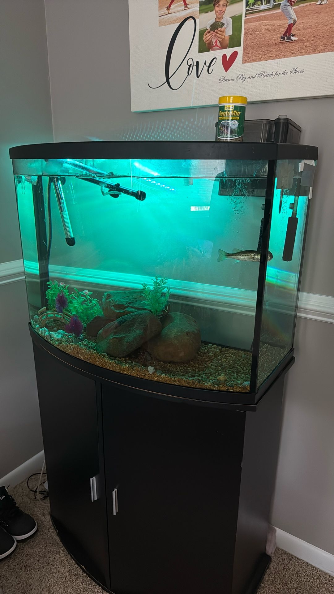 96 gal fish tank