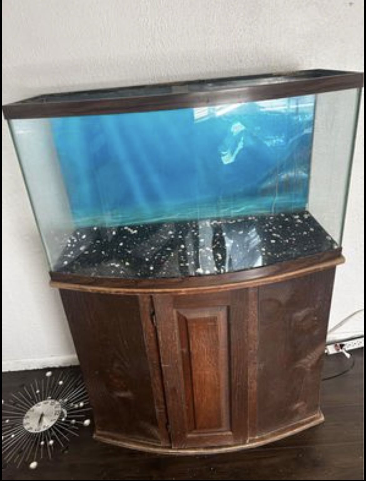 65 Gallon Bow-front Aquarium W/ Stand + More