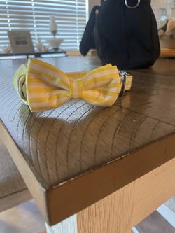 Yellow and white bowtie, dog collar with AirTag holder