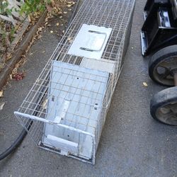 XL, Havahart Cage