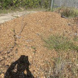 Pea Rocks/gravel  Free We Still Have More Available 