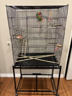 Bird Cage