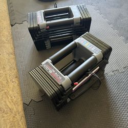 Powerblock Dumbells 