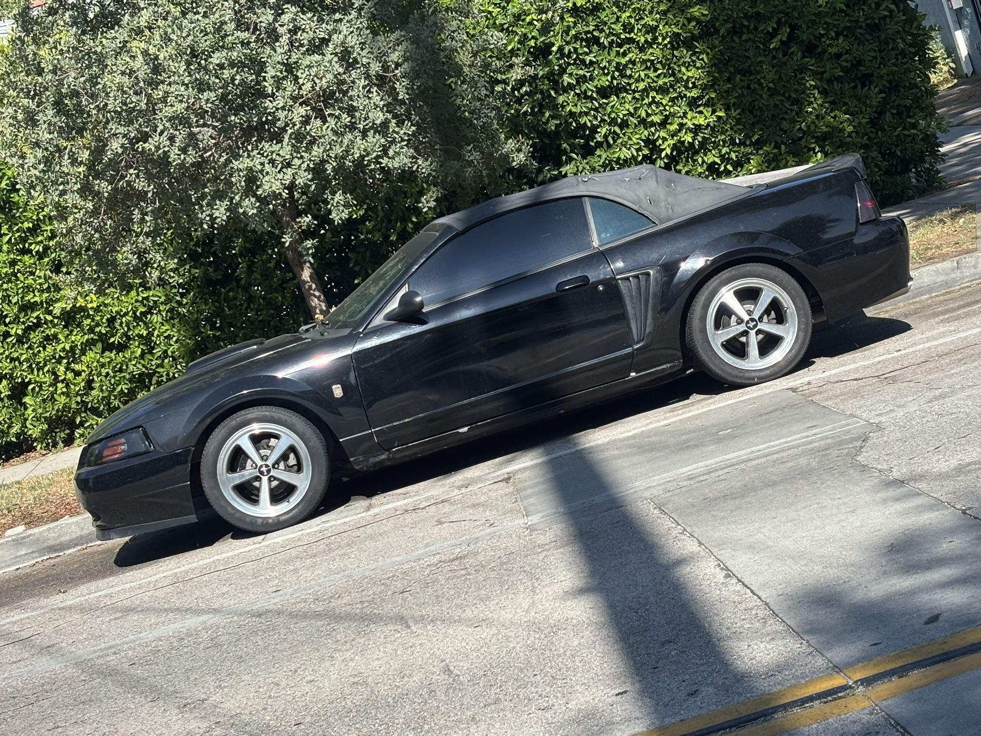 2003 Ford Mustang