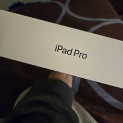 Ipad Pro 13 Inch 4m 