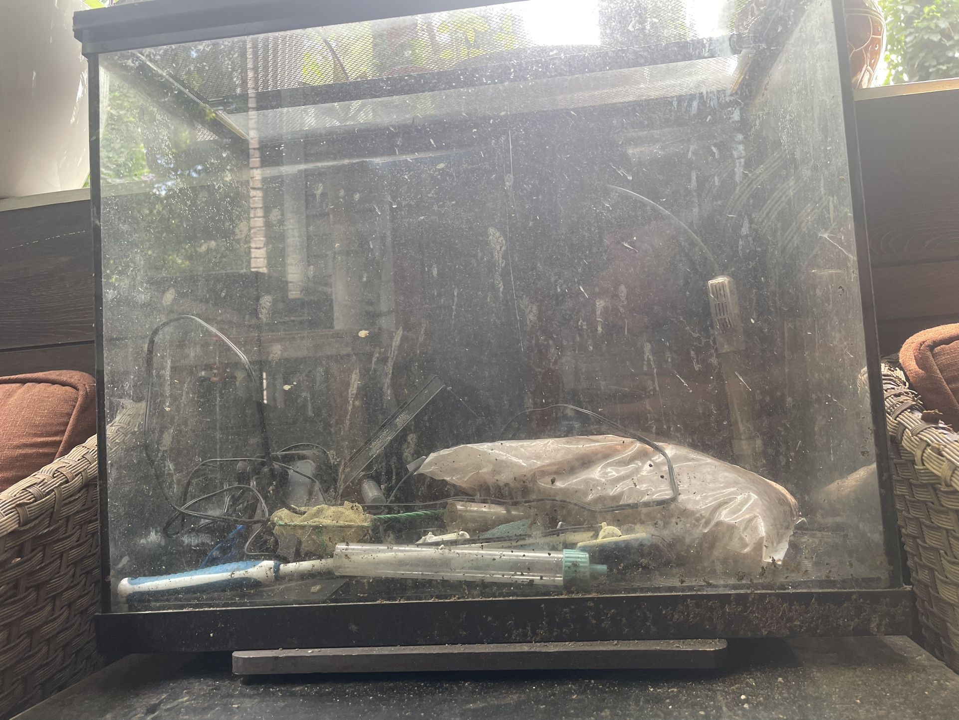 Medium-large Aquarium with Supplies