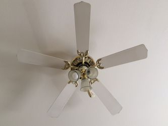 Ceiling fan