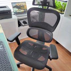 Almost New Executive Mesh Chair