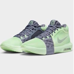 Nike Lebron Witness 8 Basketball Shoes (FB2239-300, Vapor Green/Light Carbon/White)