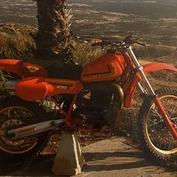 1982 Maico 490 Alpha 1