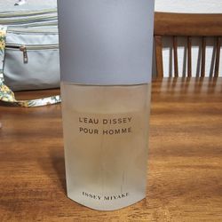 Issey Miyake L'EAU D'ISSEY 100ML 