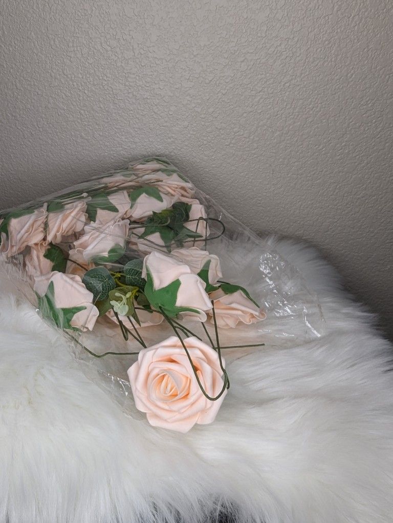 Two Dozen Blush Colored Rose Roses