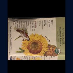 Botanical Interests Sunflower 🌻