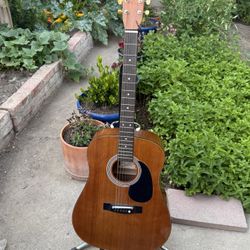 Acoustic Vintage Guitar 🎸 