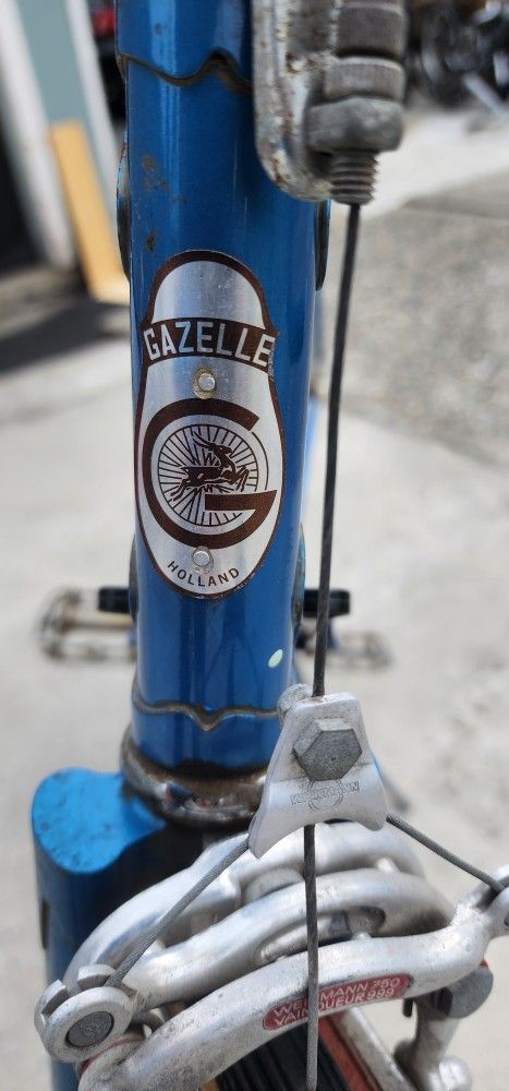 Gazelle tour de l'avenir 1967