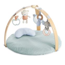 Baby gym mat