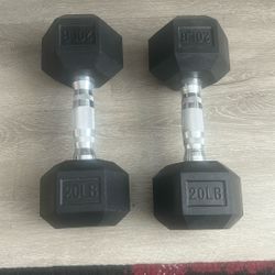 20lb Dumbbell Weights