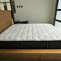 Queen Sealy Premium Posturpedic Mattress