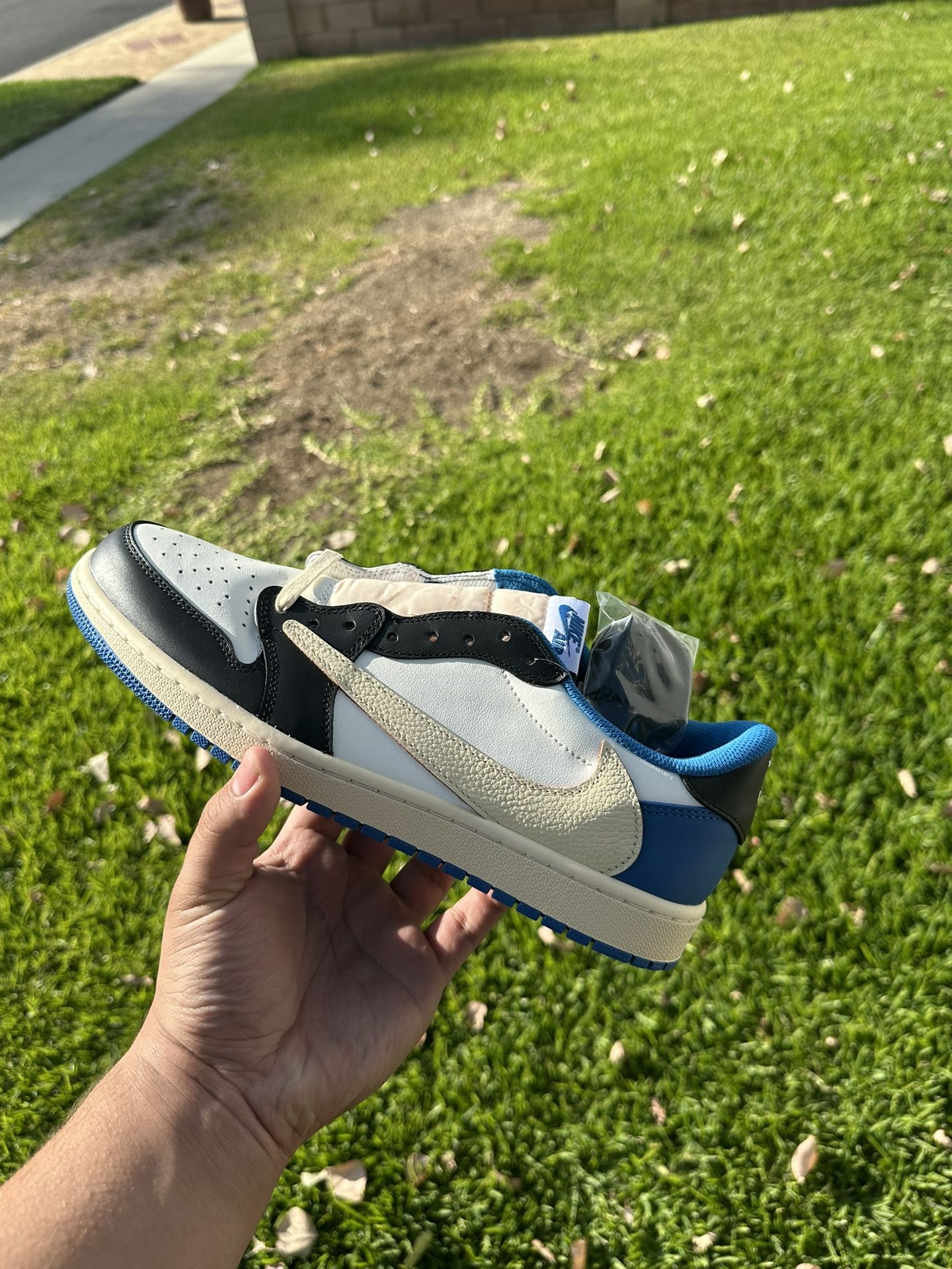 Jordan 1 Fragment low