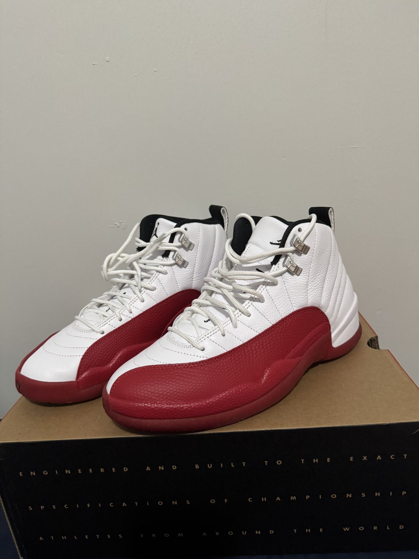 Jordan 12s Men’s Size 9