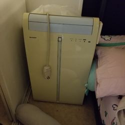 Large Portable AC