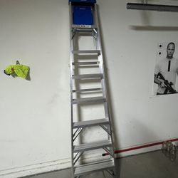 8 ft Ladder 
