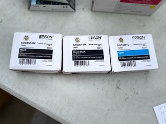 Epson T44B2 and T44B1 black and black gloss