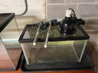 Fish tanks, lids, and lights