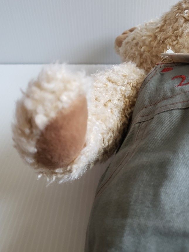 Teddy Bear Plush Charter Club Federated Department Stores Macy's 16" 2000. Condition is Used With Tags