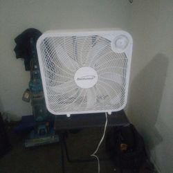 Fan