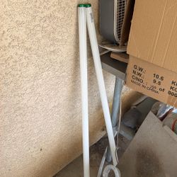 Phillips Light Bulbs