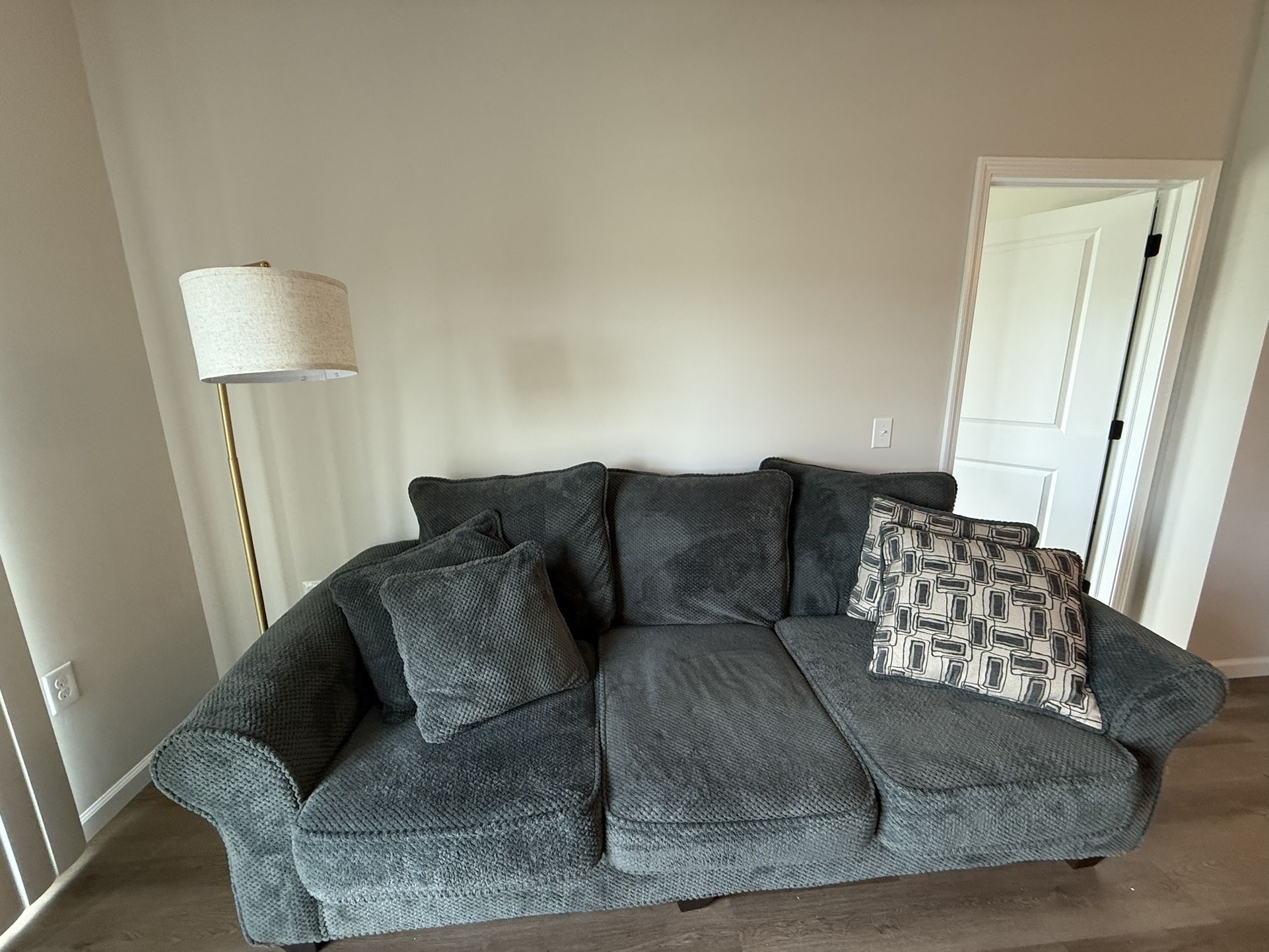 Gray Living room sofa with matching pillows