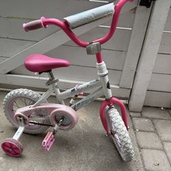 12 inch bike with training wheels
