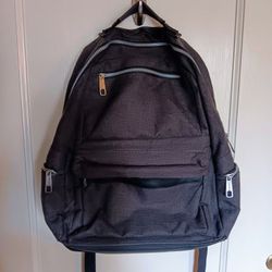 Gray Backpack By Distortion 