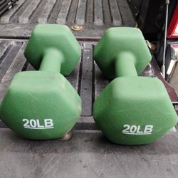 PAIR  OF  20  LB.  RUBBER  NEOPRENE  DUMBBELLS 