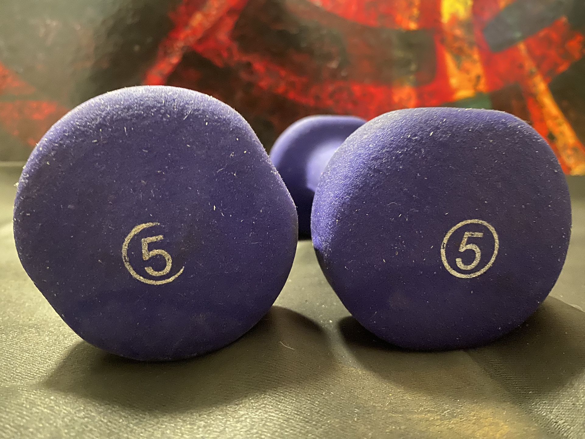 Two 5 Pound Dumbbells