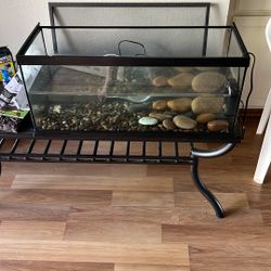 Reptile Tank 