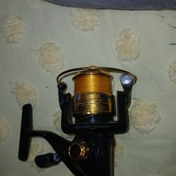 Nice Roddy Hunter Reel