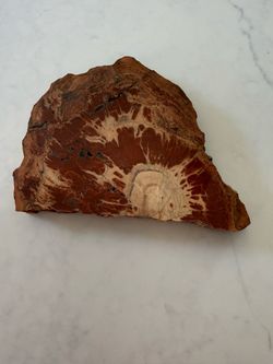Petrified wood slab, 4 LBS