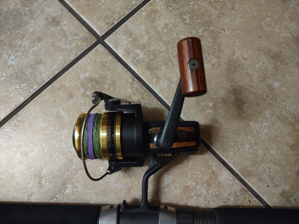 Daiwa BG 20