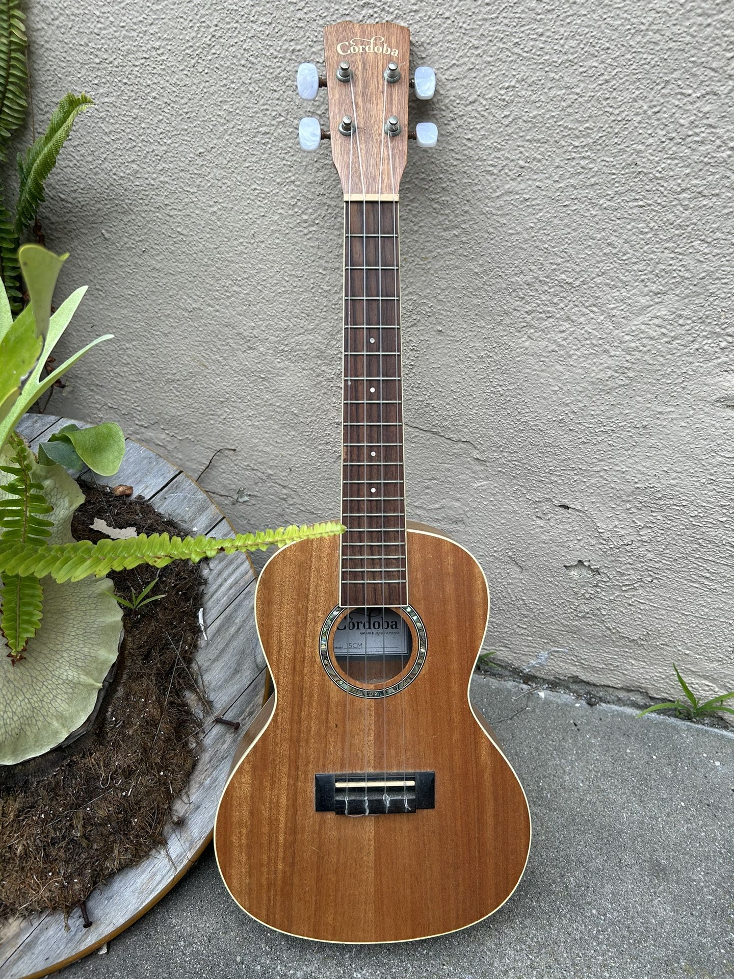 Cordoba 15cm Concert Ukulele