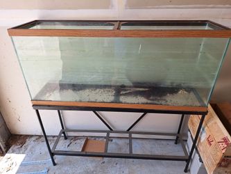 50 Gallon Fish Aquarium With Stand 