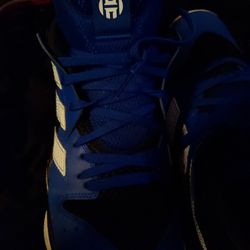 Adidas Baskitball Shoe