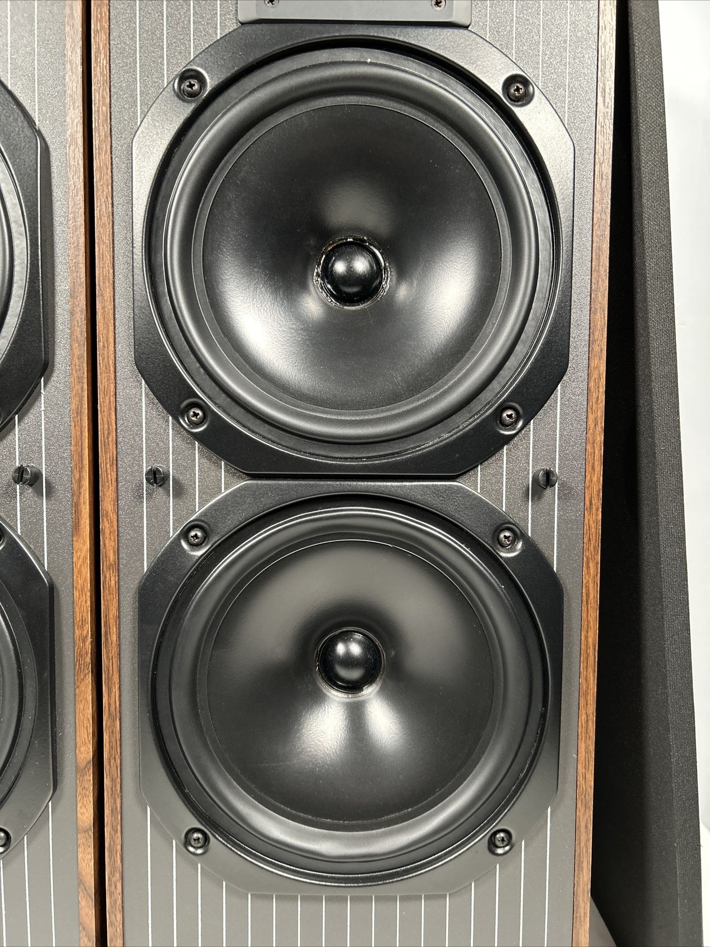 [レア] KEF C40 3unit2.5way スピーカーペア Kef C40 Bookshelf Speakers in Factory Box - The Music Room