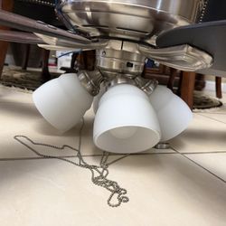 50” Ceiling Fan With Lights 
